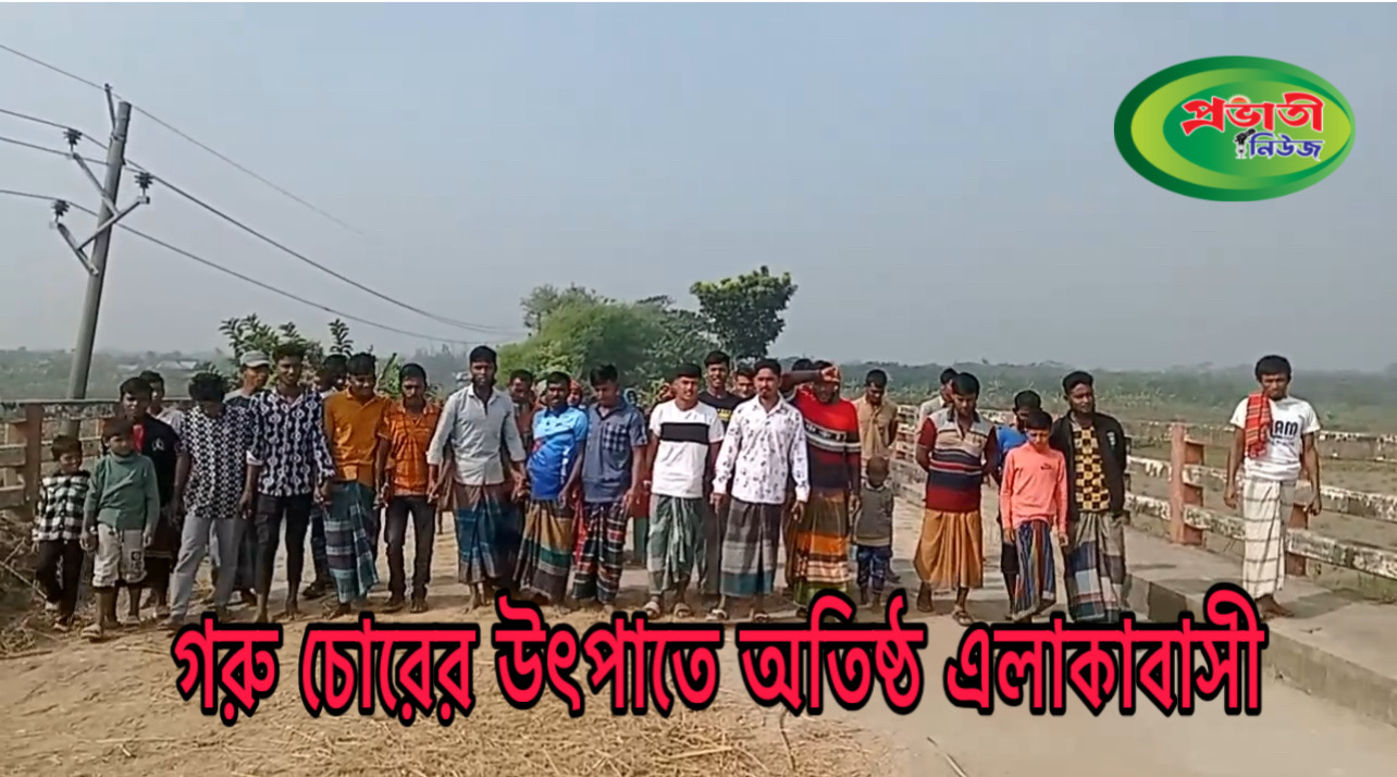 ভোলার গরু চোরের উৎপাতে অতিষ্ঠ এলাকাবাসী: চুটকিমারায় মানববন্ধন ও মিছিল