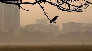 ঢাকায় ১৬ ডিগ্রি তাপমাত্রা: আংশিক মেঘলা আকাশের সাথে বইছে শীতল হাওয়া