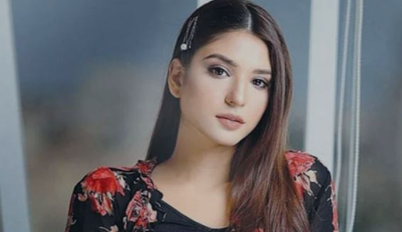 বিয়ের পর ইনস্টাগ্রাম ফাঁকা! সত্যিই কি অভিনয় ছাড়ছেন রামশা খান? - প্রভাতী নিউজ 