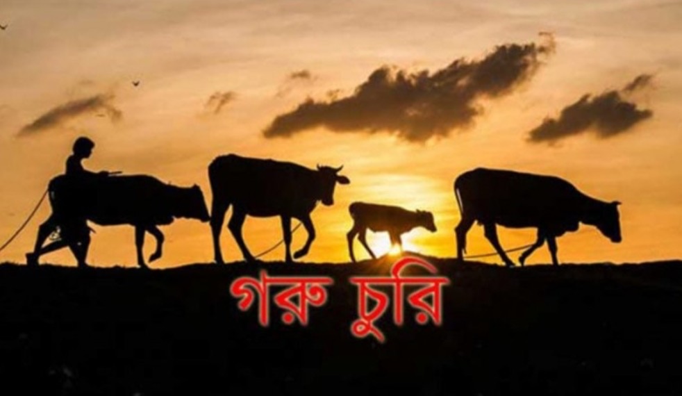 কেন্দুয়ায় সান্দিকোণা ইউনিয়নের ফেনারগাতীর গোয়ালঘর থেকে গরু চুরি - প্রভাতী নিউজ  - অপরাধ