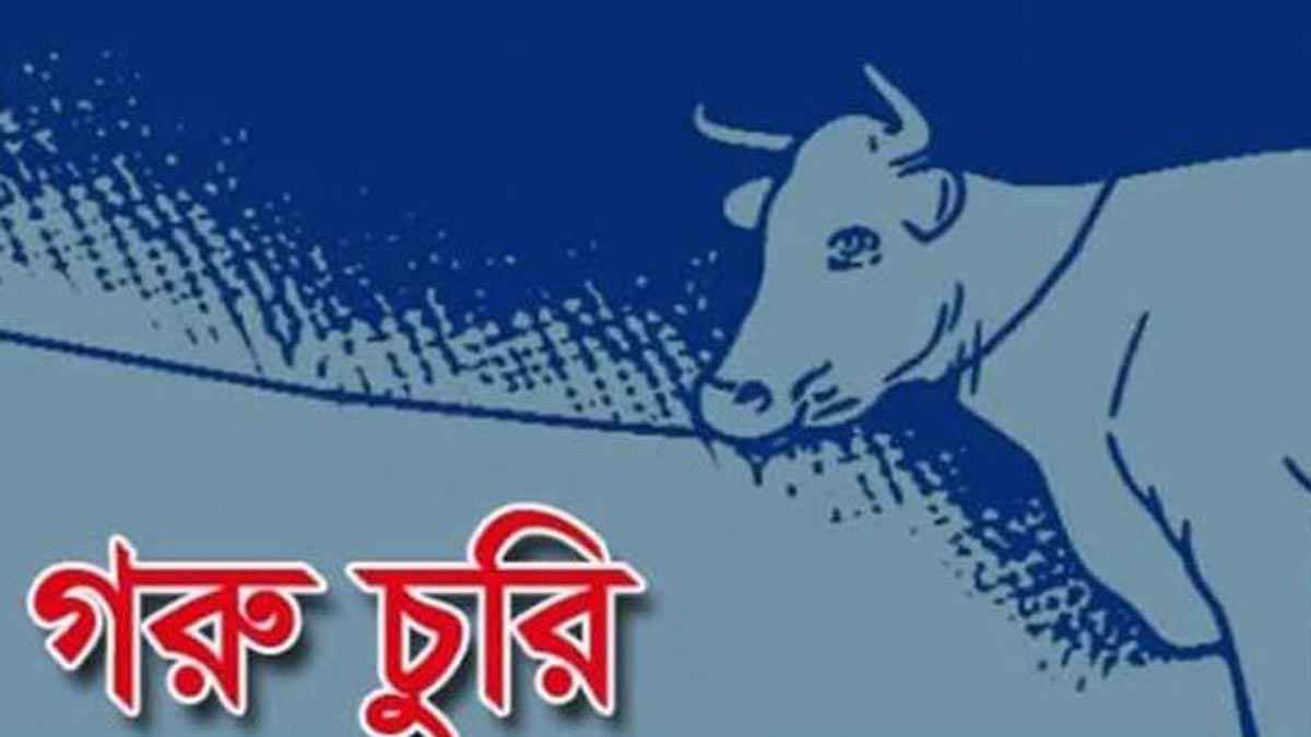 কেন্দুয়ার বলাইশিমুল গ্রামে ৩টি গরু চুরি - প্রভাতী নিউজ  - অপরাধ