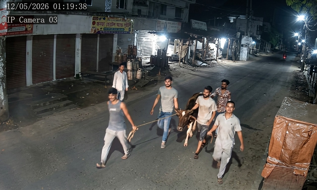 চুরির ৮ ঘণ্টার মধ্যেই উদ্ধার গরু, পরে আপস করলেন বাদী-বিবাদী - প্রভাতী নিউজ  - অপরাধ